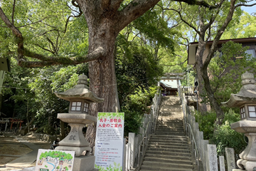垂水神社の入り口の写真