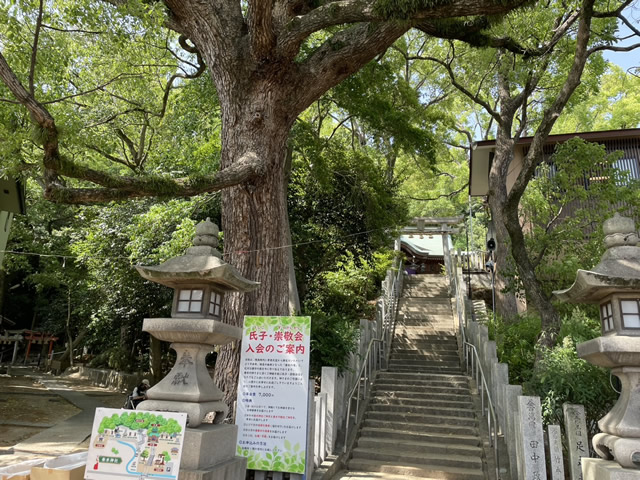 垂水神社の写真(2025.05.20)