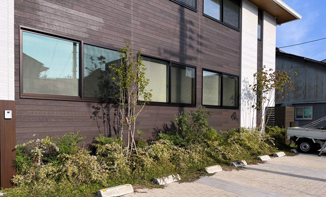 剪定前の写真(一昨年)