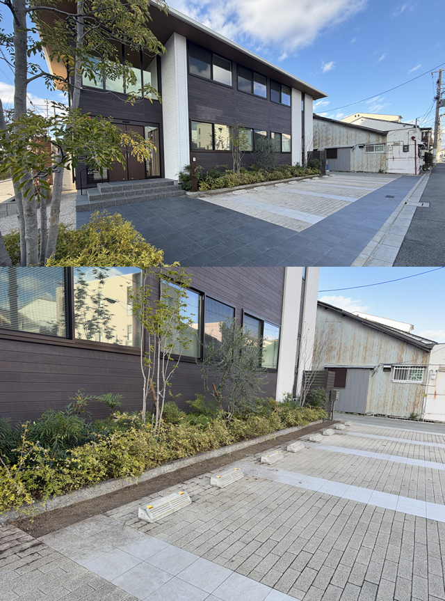 今年の剪定後の写真